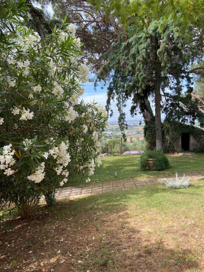B&B Villa Il Poggetto Venturina Terme Exterior photo