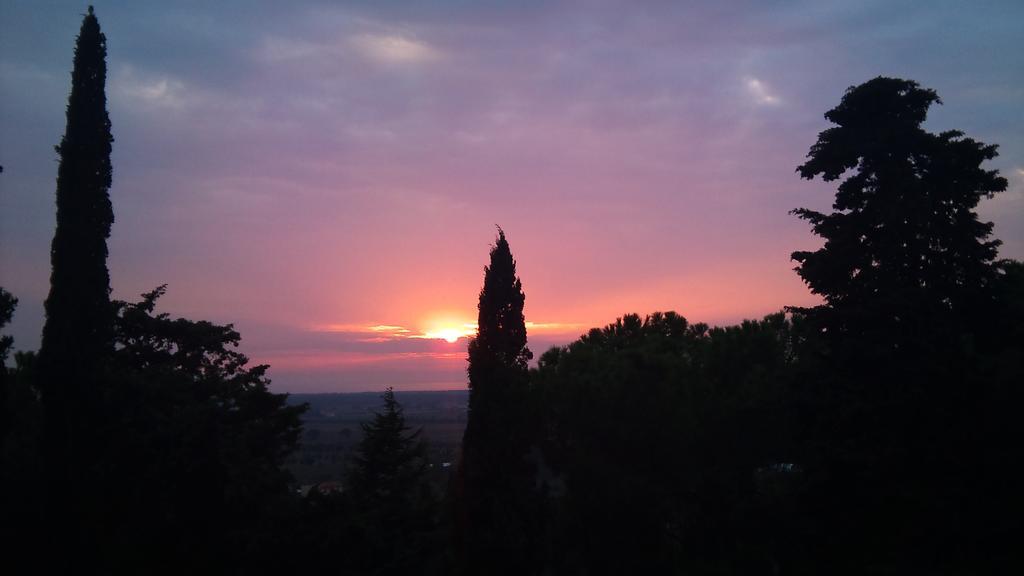 B&B Villa Il Poggetto Venturina Terme Exterior photo