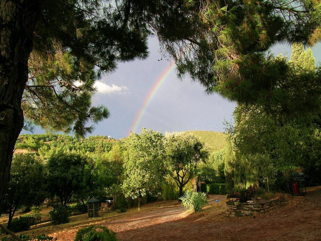 B&B Villa Il Poggetto Venturina Terme Exterior photo